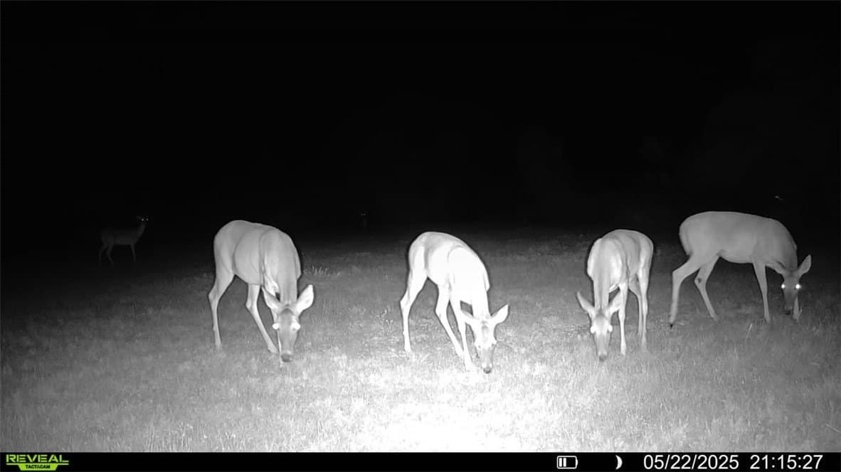 39.59 acres in Bee County - photo 33