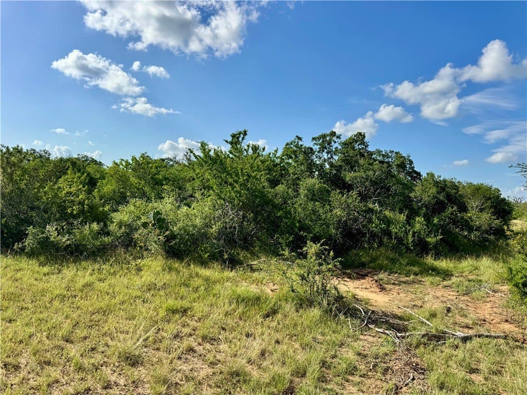 39.59 acres in Bee County - photo 17