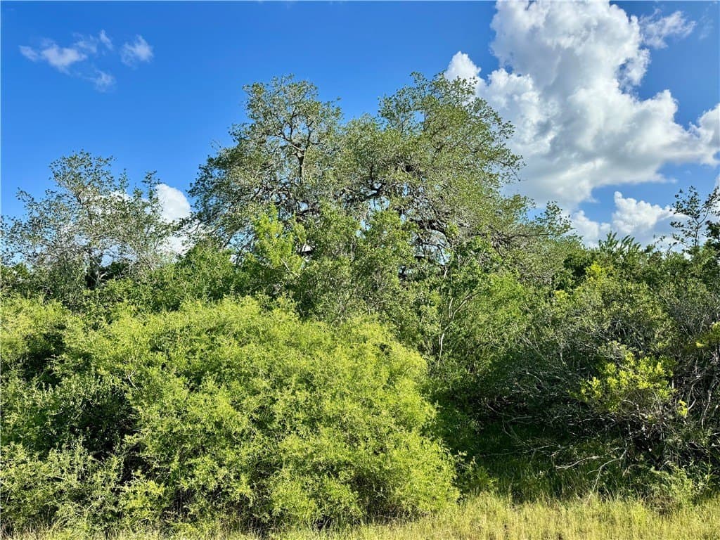 39.59 acres in Bee County - photo 21