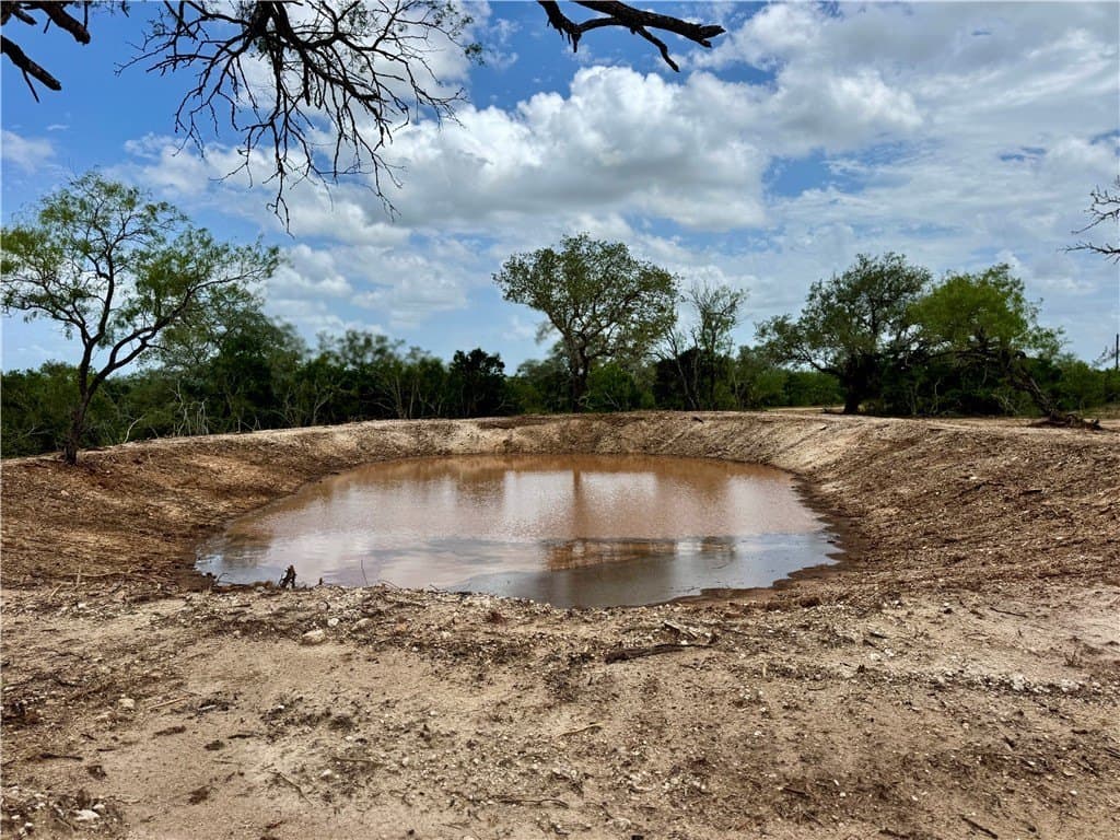 39.59 acres in Bee County - photo 3
