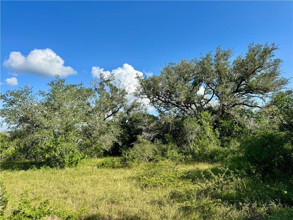 39.59 acres in Bee County - photo 29