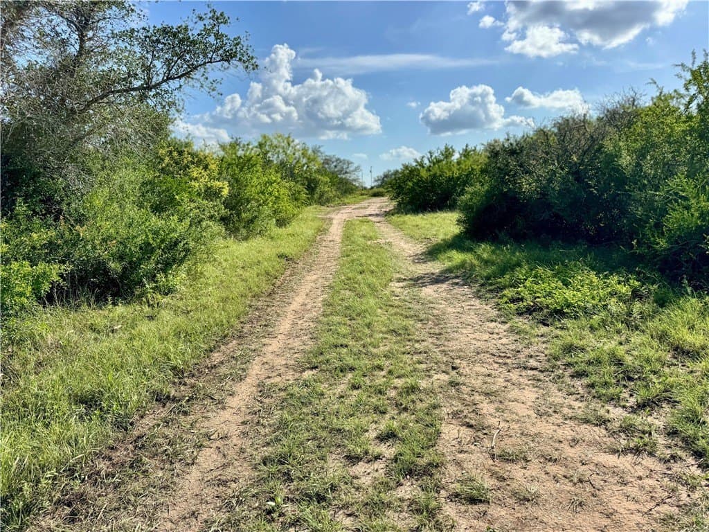 39.59 acres in Bee County - photo 8