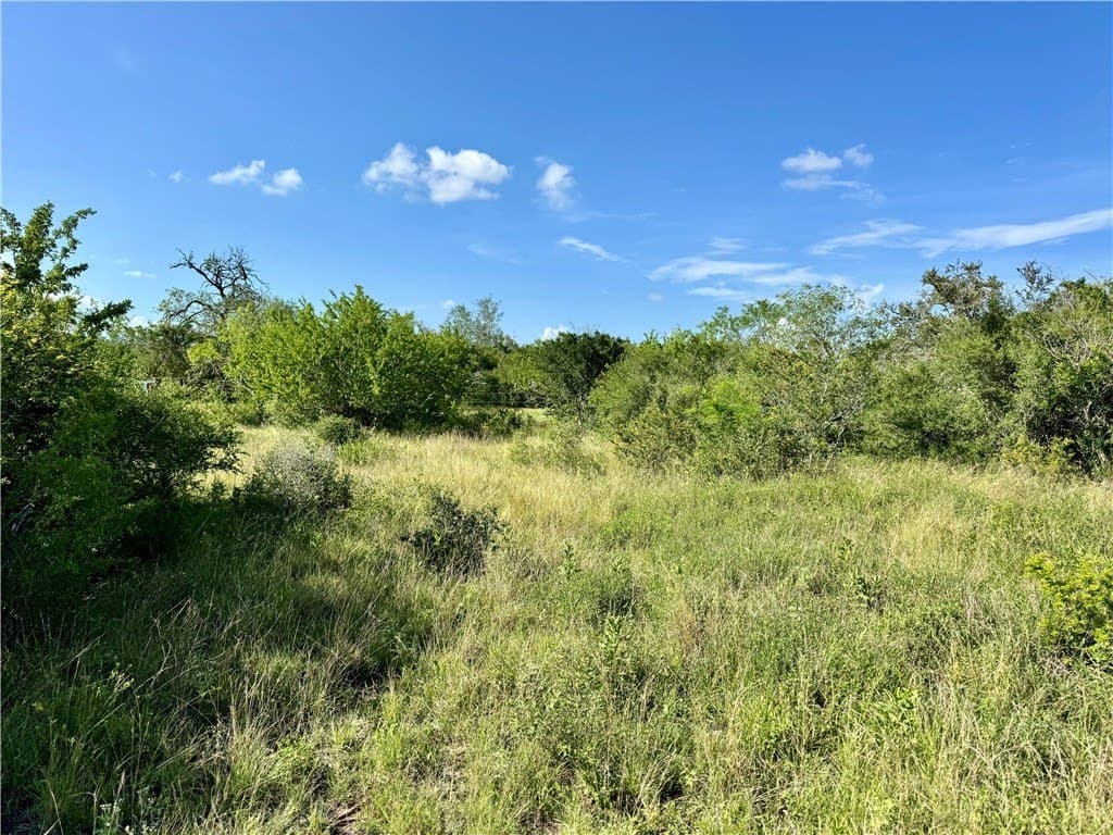 39.59 acres in Bee County - photo 7