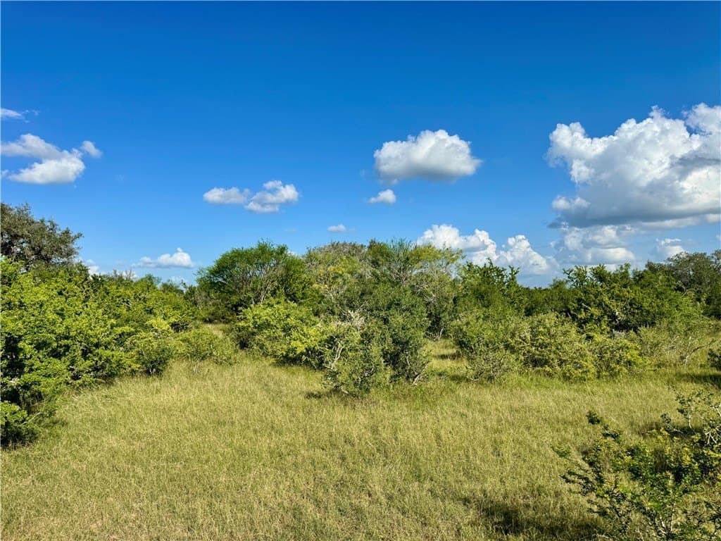 39.59 acres in Bee County - photo 27