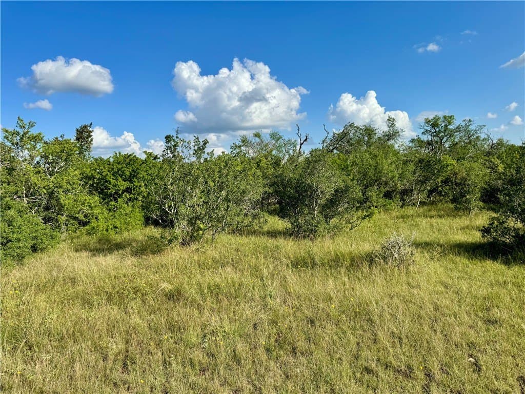 39.59 acres in Bee County - photo 26