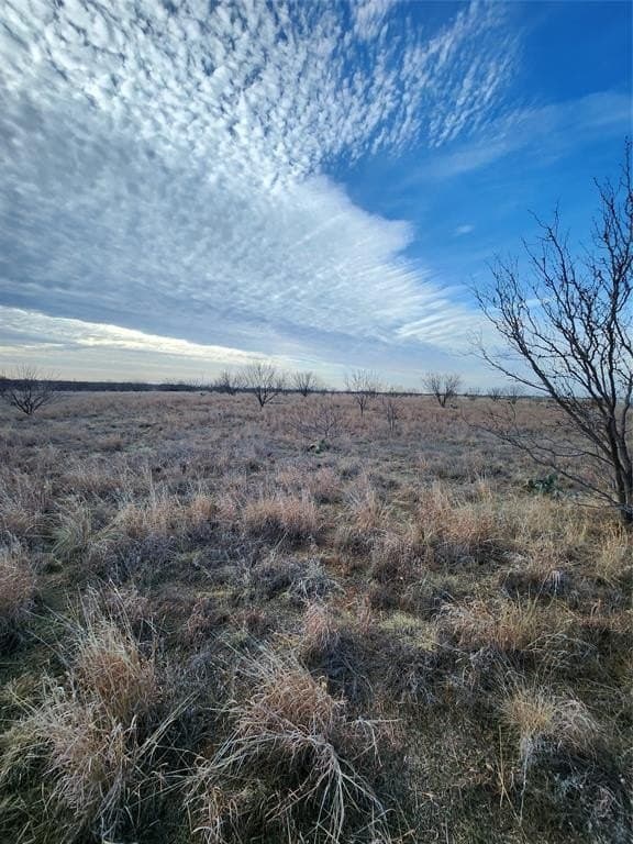 13.5 acres in Taylor County - photo 17