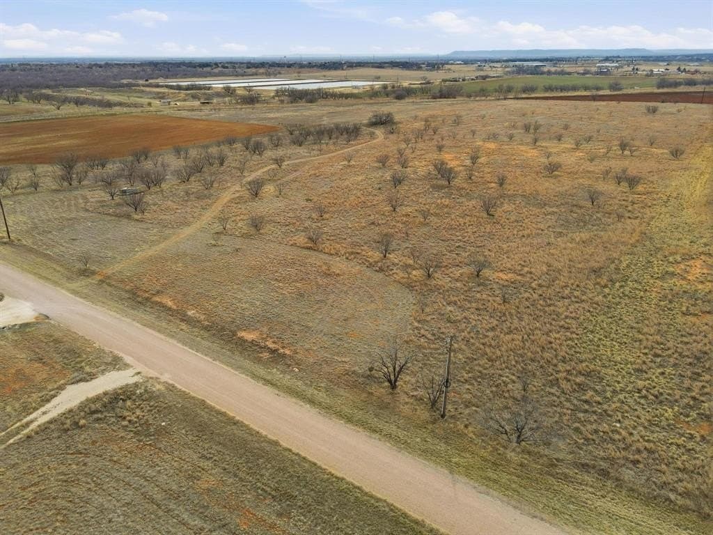 13.5 acres in Taylor County - photo 8