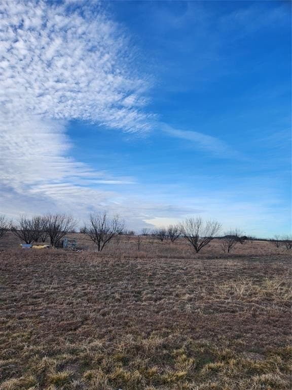13.5 acres in Taylor County - photo 16