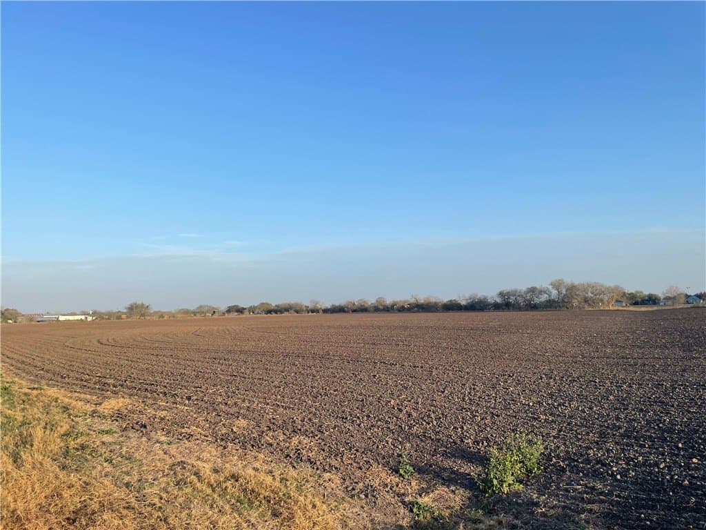 2.5 acres in San Patricio County - photo 2