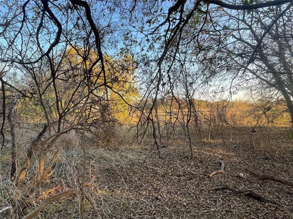 0.22 acres in Tarrant County - photo 11