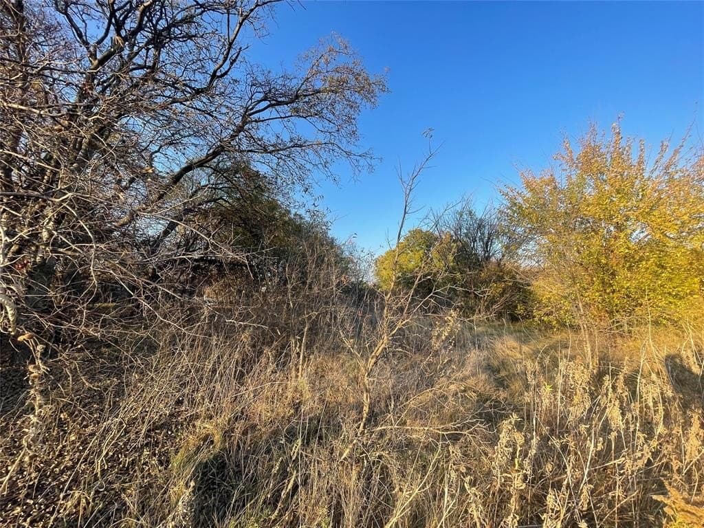 0.22 acres in Tarrant County - photo 3