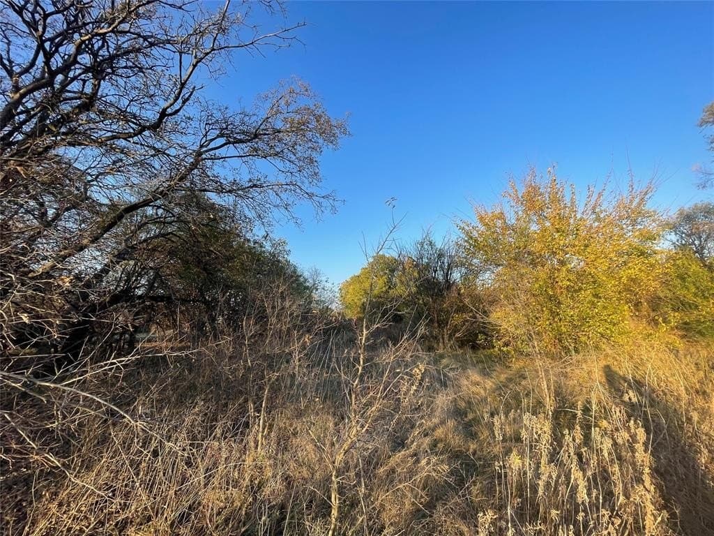 0.22 acres in Tarrant County - photo 12