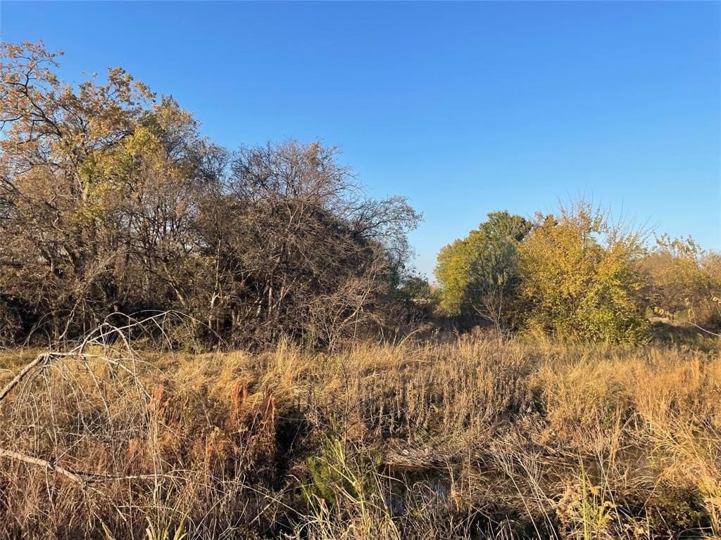 0.22 acres in Tarrant County - photo 4