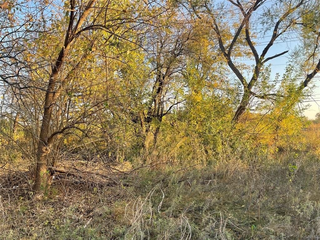 0.22 acres in Tarrant County - photo 5