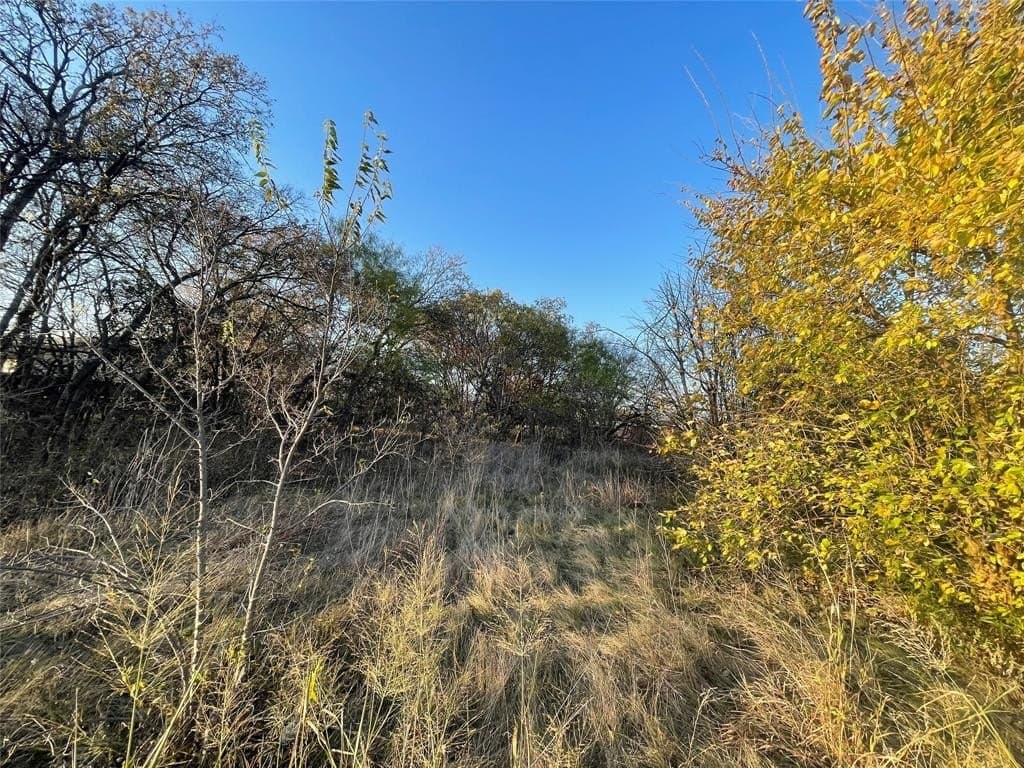 0.22 acres in Tarrant County - photo 10