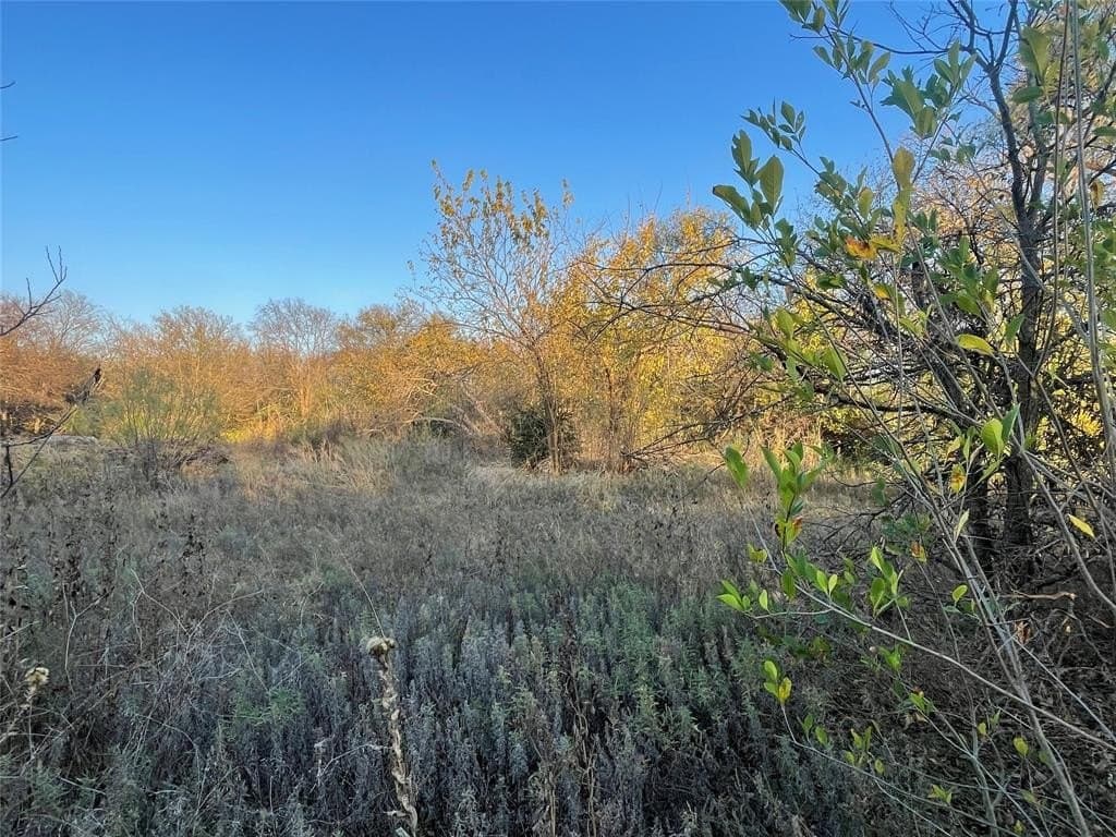 0.22 acres in Tarrant County - photo 8