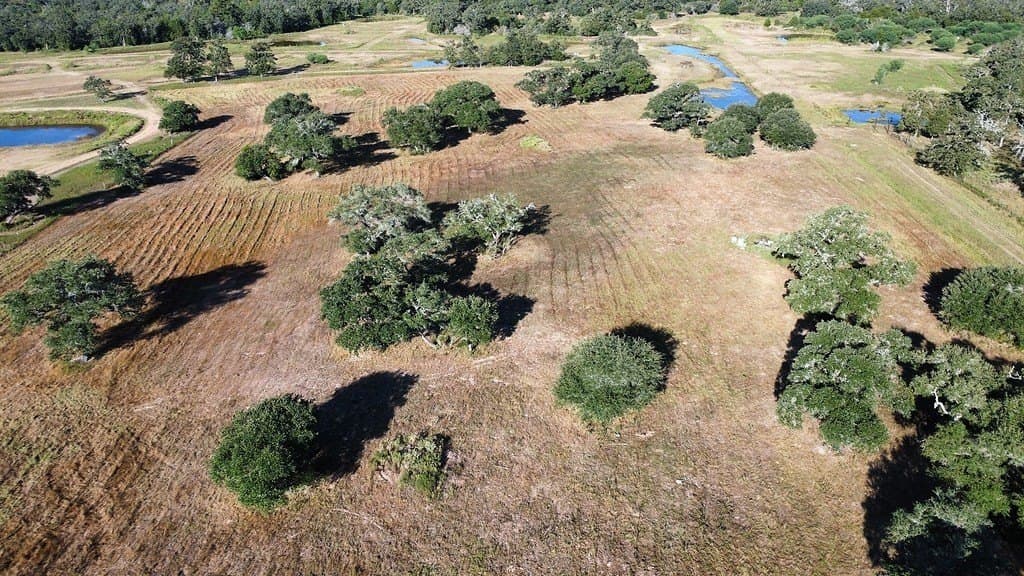 11 acres in Colorado County - photo 10