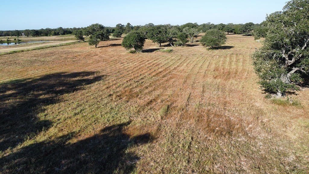 11 acres in Colorado County - photo 9