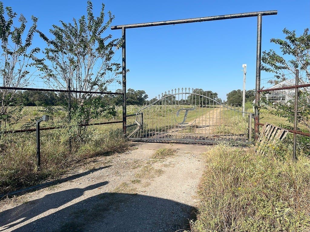 11 acres in Colorado County - photo 12