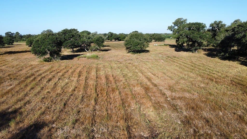 11 acres in Colorado County - photo 7