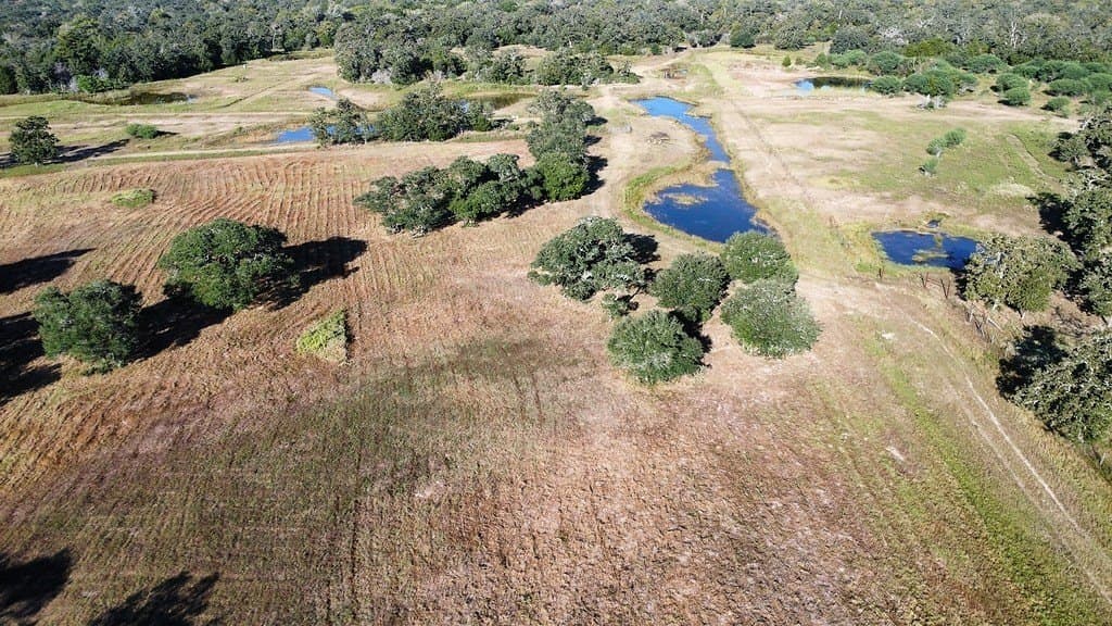 11 acres in Colorado County - photo 5