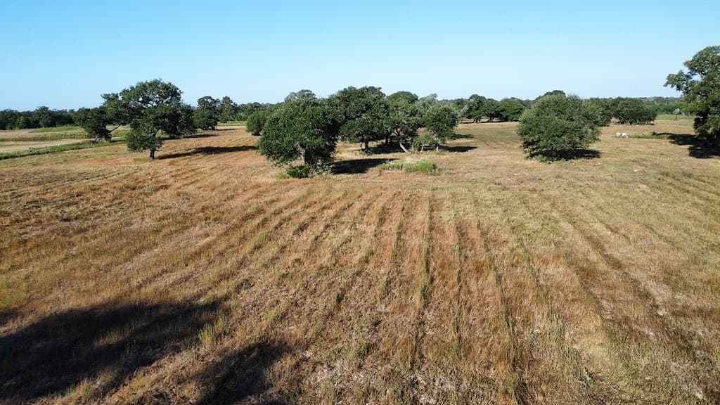 11 acres in Colorado County - photo 6