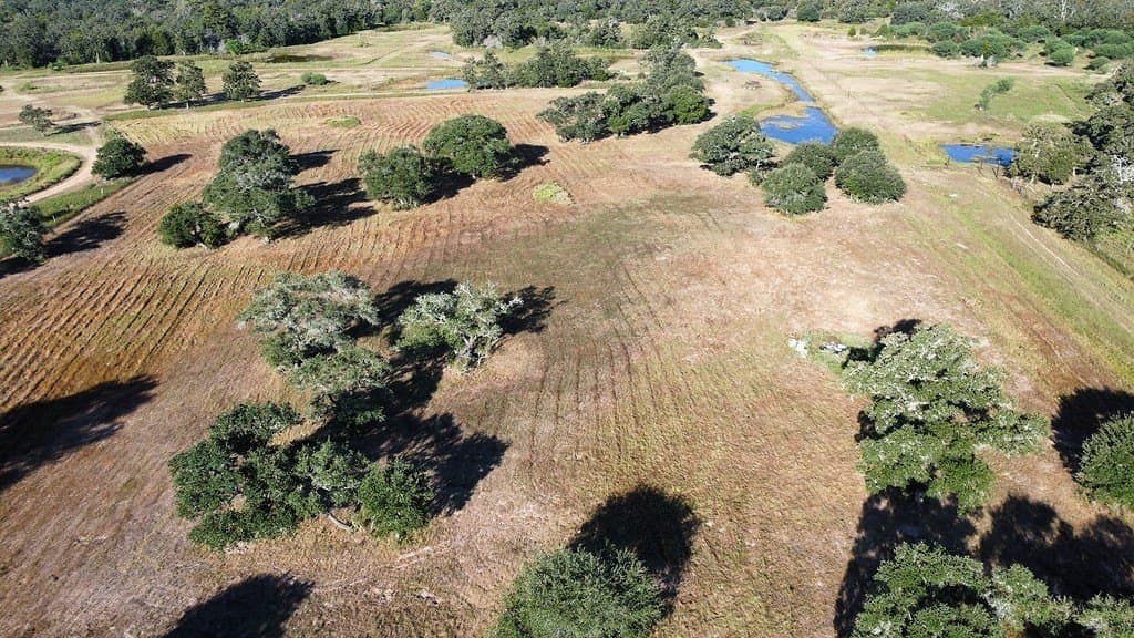 11 acres in Colorado County - photo 3