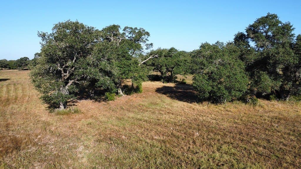 11 acres in Colorado County - photo 8