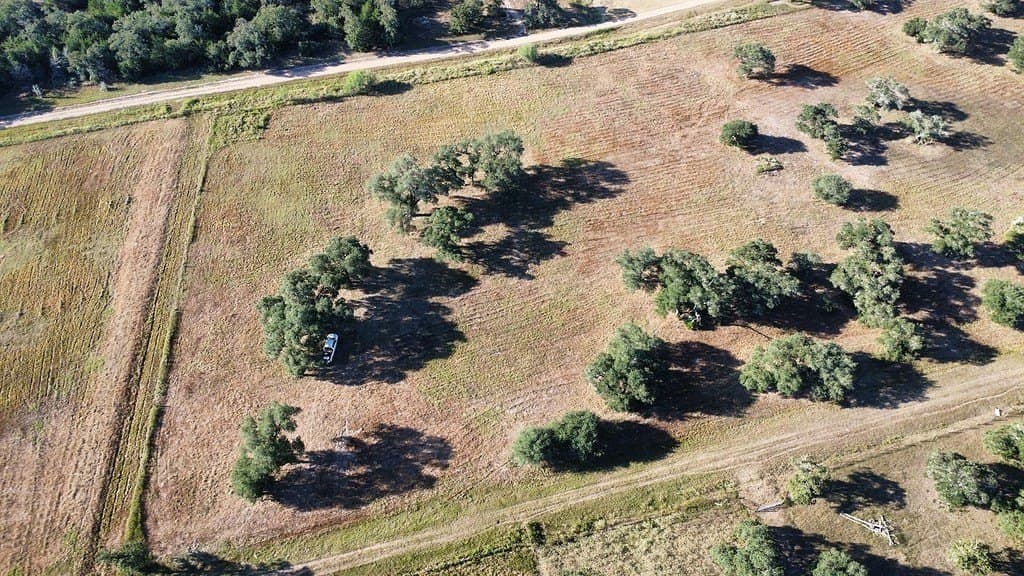 11 acres in Colorado County - photo 4