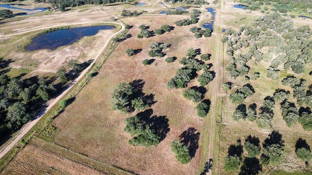 11 acres in Colorado County - photo 11