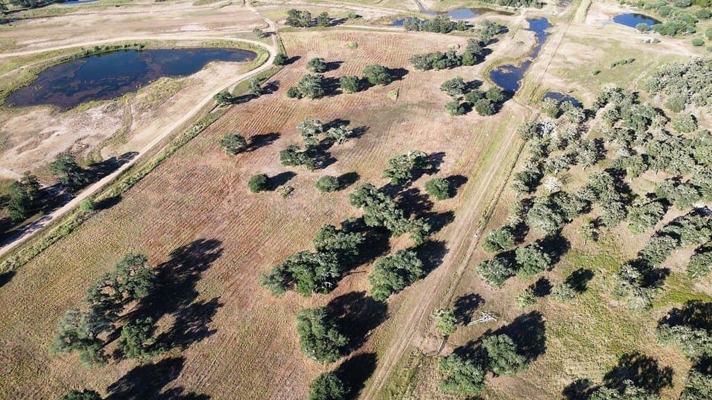 11 acres in Colorado County - photo 2