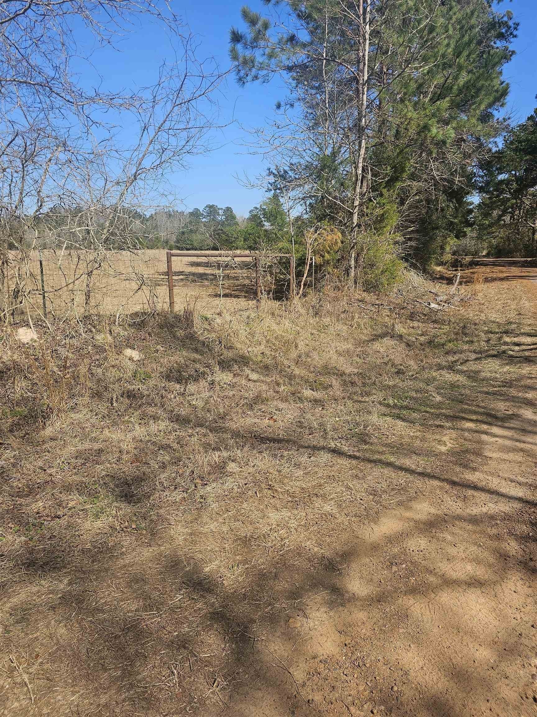 10.25 acres in Panola County - photo 3