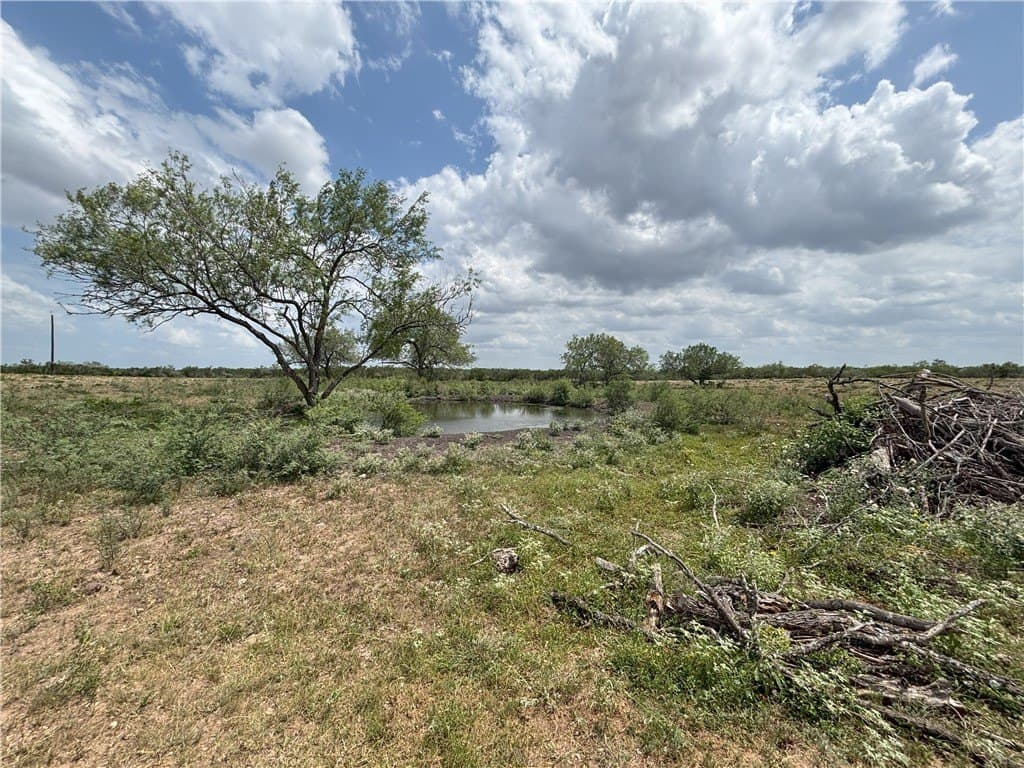 102.45 acres in Duval County - photo 7