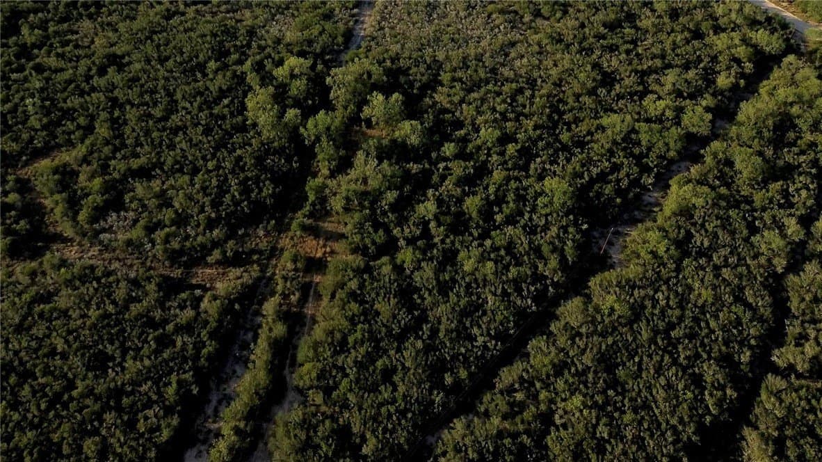 102.45 acres in Duval County - photo 14