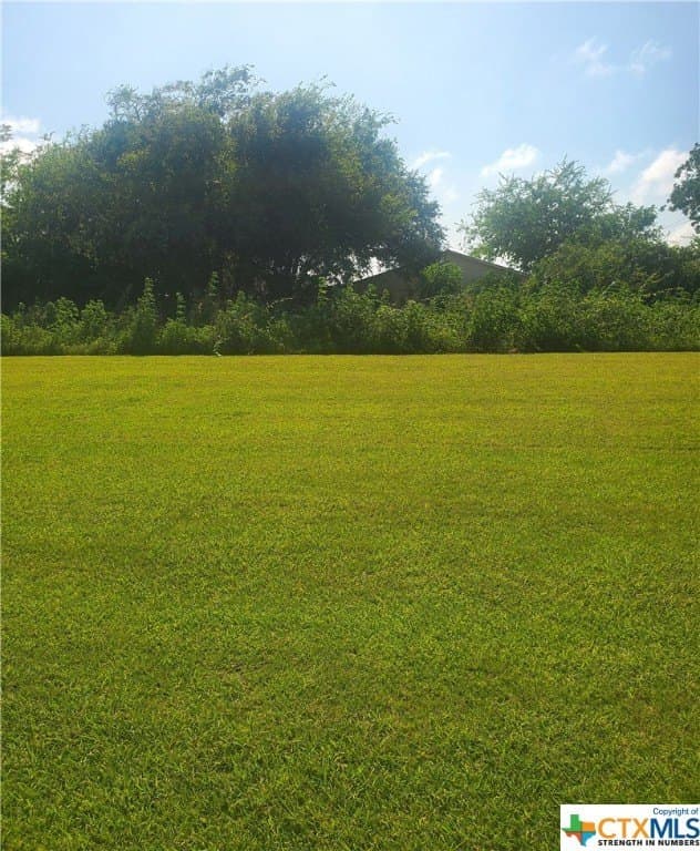 0.12 acres in Calhoun County - photo 2