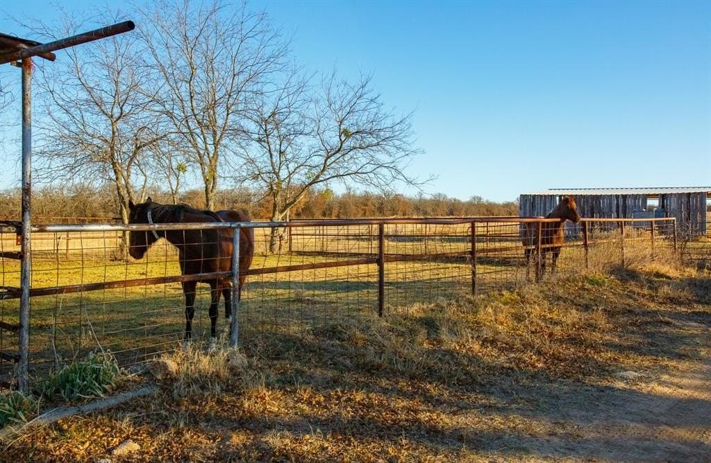 23.34 acres in Jack County - photo 6
