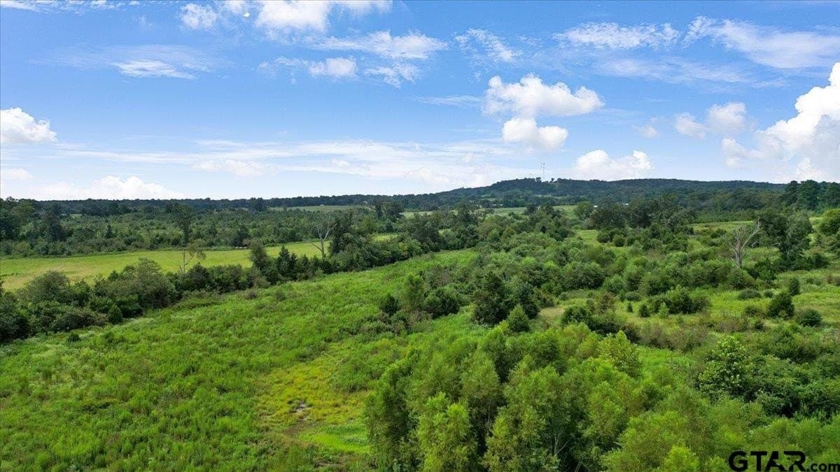 41.98 acres in Upshur County - photo 8