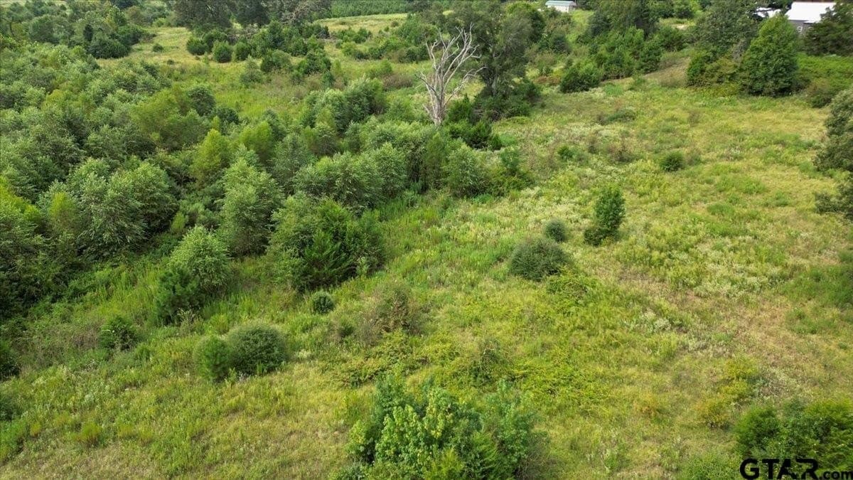 41.98 acres in Upshur County - photo 5