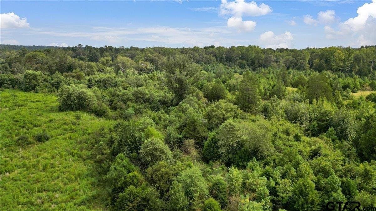 41.98 acres in Upshur County - photo 7