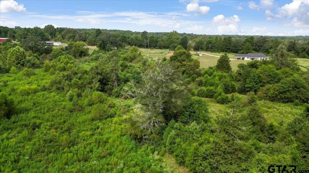 41.98 acres in Upshur County - photo 6