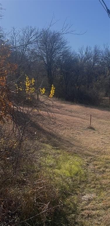 0.51 acres in Wise County - photo 3