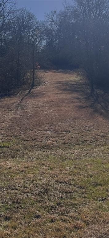 0.51 acres in Wise County - photo 2