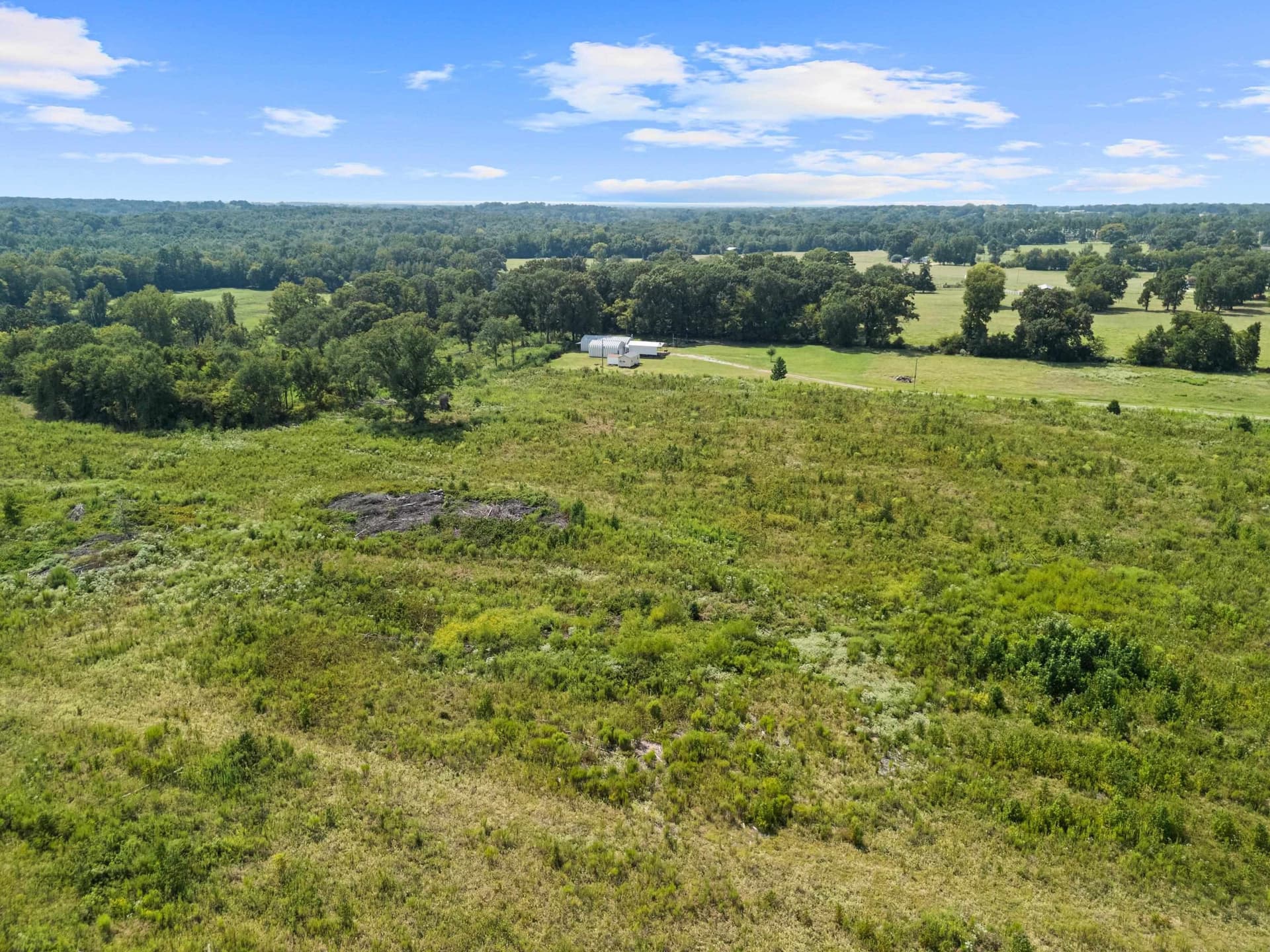 44 acres in Camp County - photo 35