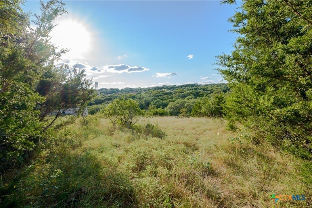1.29 acres in Comal County - photo 4
