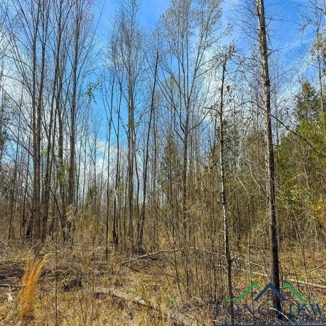 35.42 acres in Cass County - photo 18