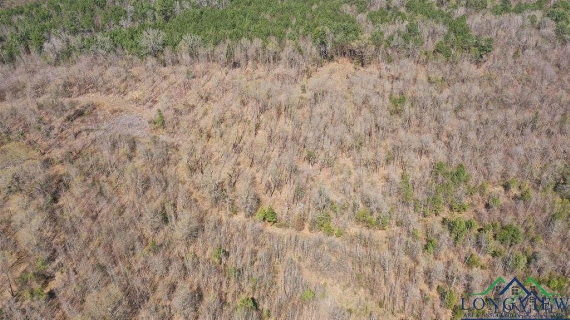 35.42 acres in Cass County - photo 2