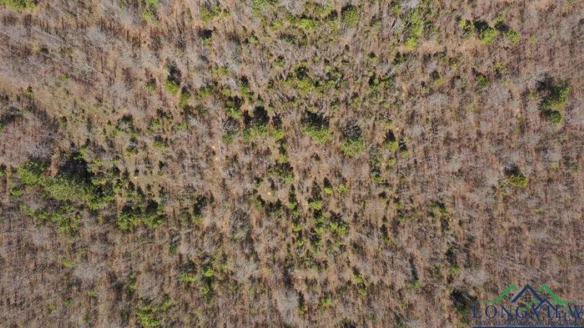 35.42 acres in Cass County - photo 6