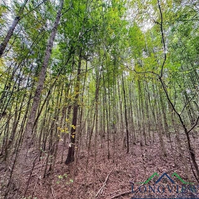35.42 acres in Cass County - photo 19