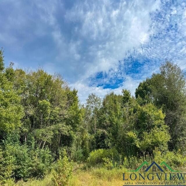 35.42 acres in Cass County - photo 21