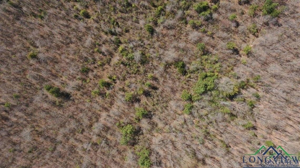 35.42 acres in Cass County - photo 4